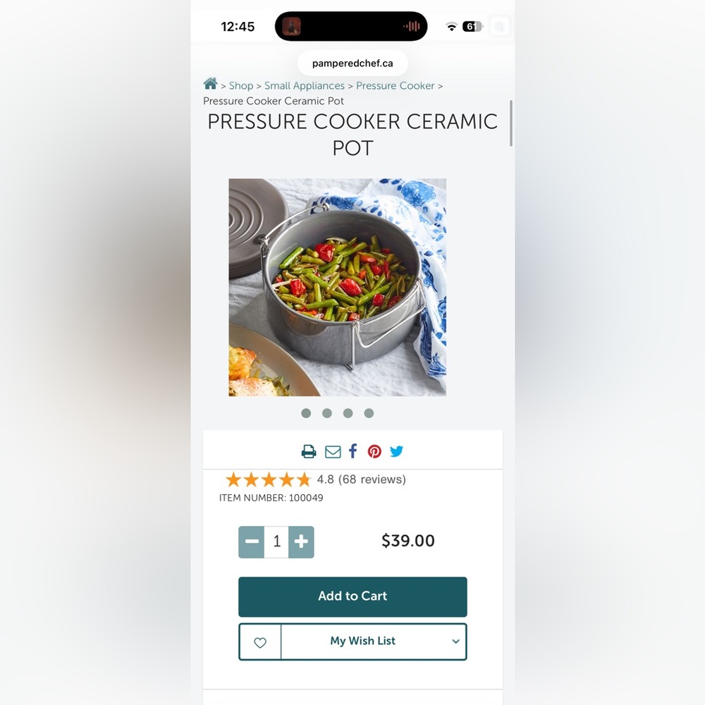 Pampered Chef Gray Ceramic Pressure Cooker Pot